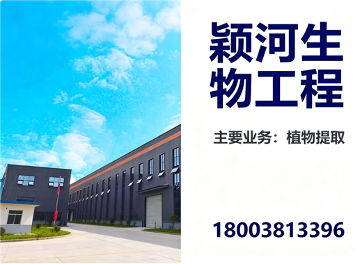 颖河漯河线上分站